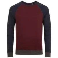 Толстовка унисекс Sandro, бордовая с темно-синим - фото 1