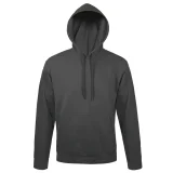 Толстовка с капюшоном Snake II темно-серая - фото 2