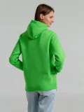 Толстовка с капюшоном Snake II зеленое яблоко - фото 13