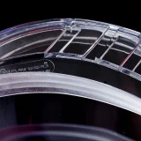 Очки химостойкие герметичные Элит Ампаро® с AF (2115 (223321)) - фото 3