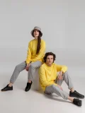 Свитшот унисекс BNC Inspire (Organic), желтый - фото 19