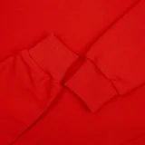 Толстовка с капюшоном Kirenga Heavy, красная (алая) - фото 4