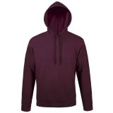 Толстовка с капюшоном Snake II бордовая - фото 2