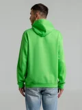 Толстовка с капюшоном Snake II зеленое яблоко - фото 15