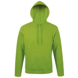 Толстовка с капюшоном Snake II зеленое яблоко - фото 2