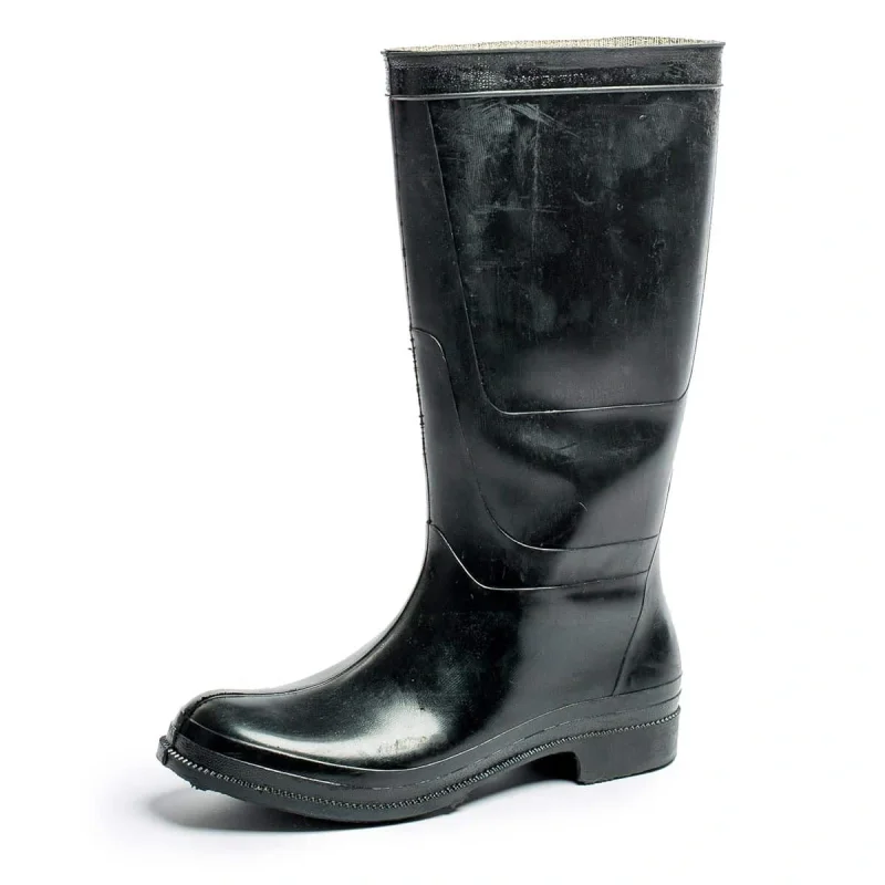 Сапоги резиновые (арт. 173 и 2С55) мужские, черные
